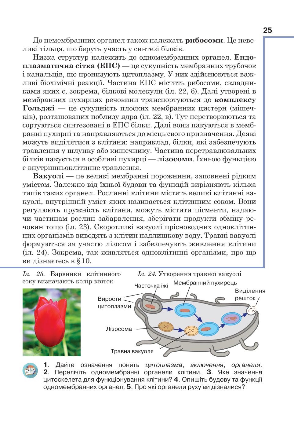 Мініатюра 25