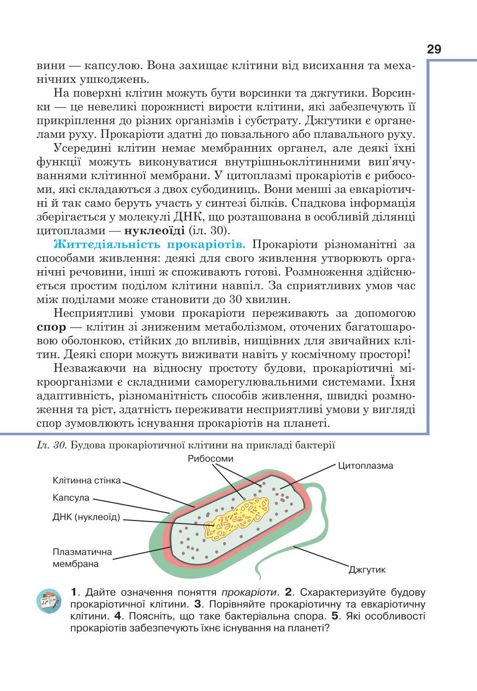 Мініатюра 29