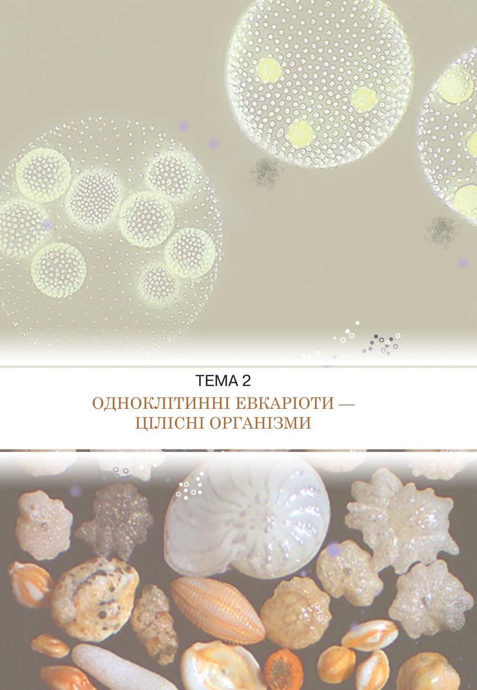 Мініатюра 35