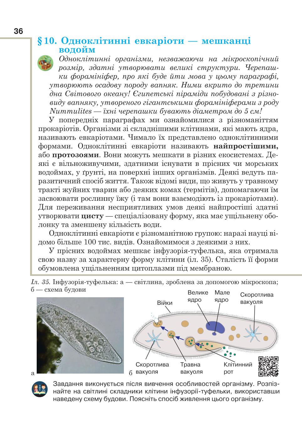 Мініатюра 36