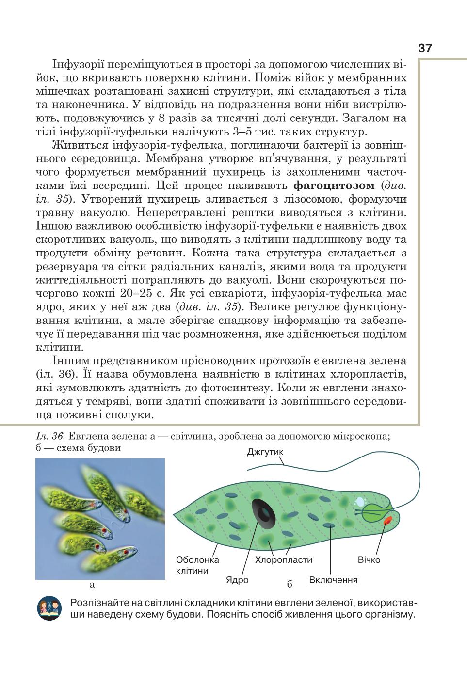 Мініатюра 37