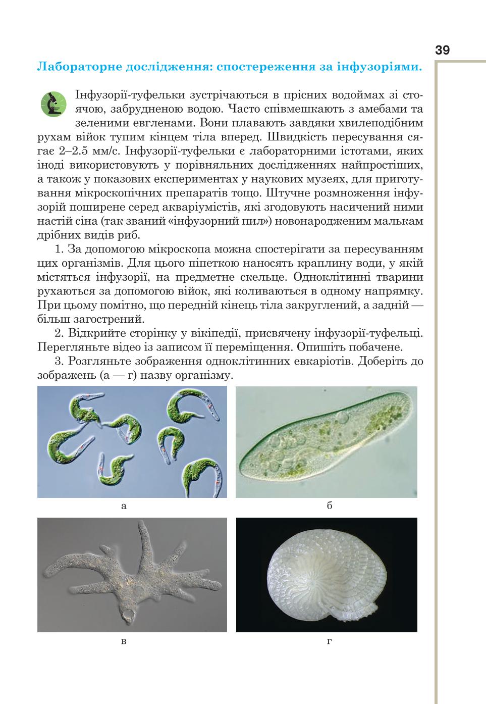 Мініатюра 39