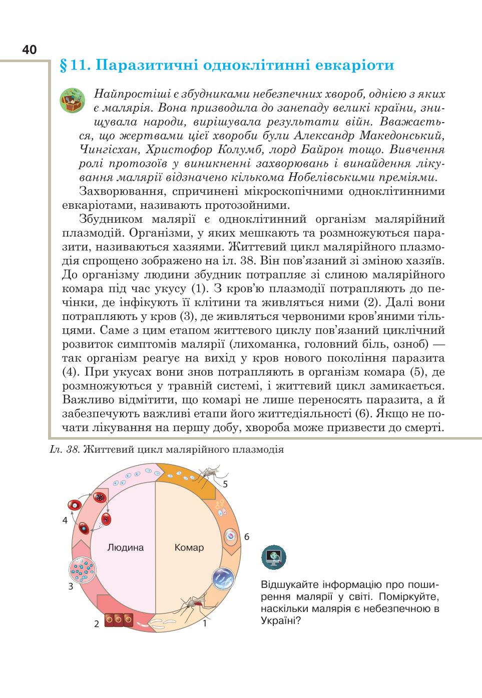 Мініатюра 40