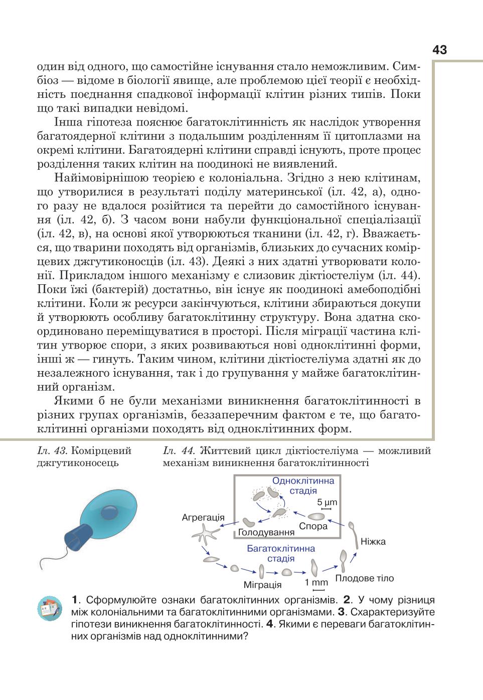 Мініатюра 43