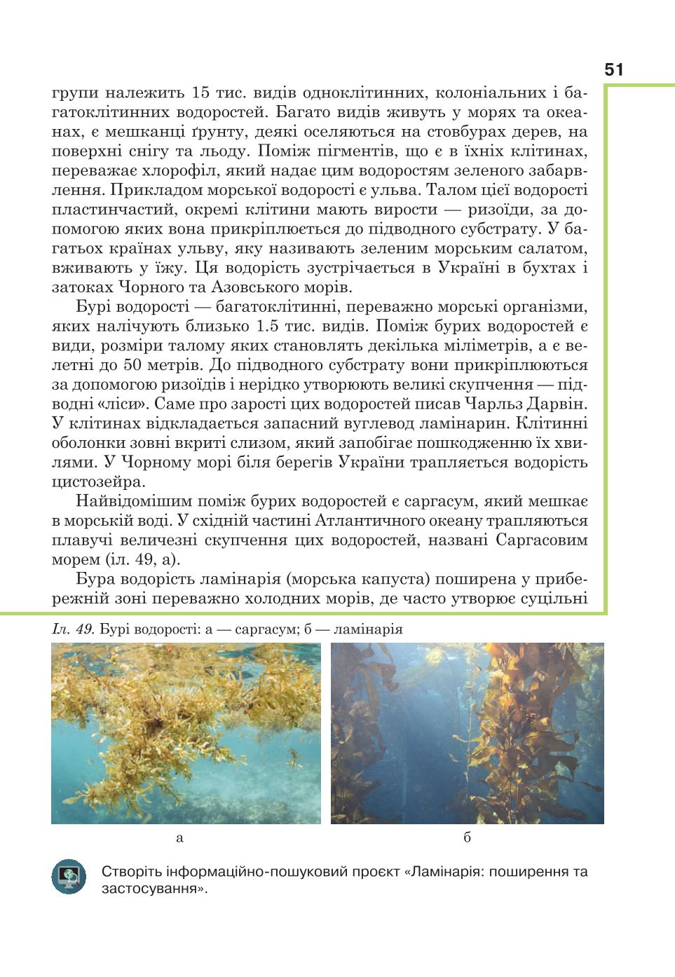 Мініатюра 51