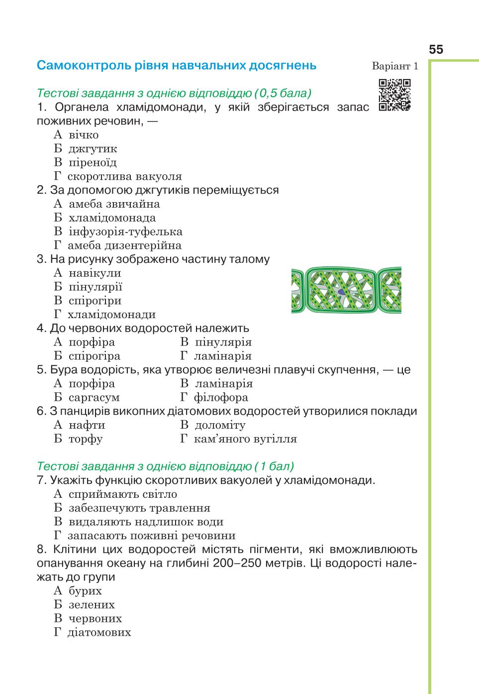 Мініатюра 55