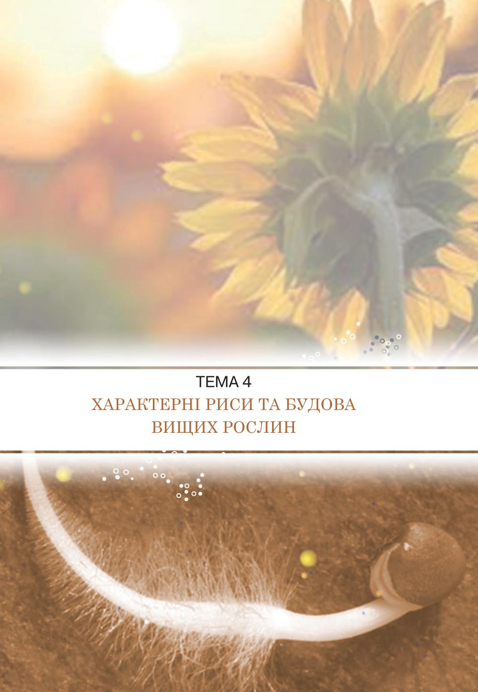 Мініатюра 57