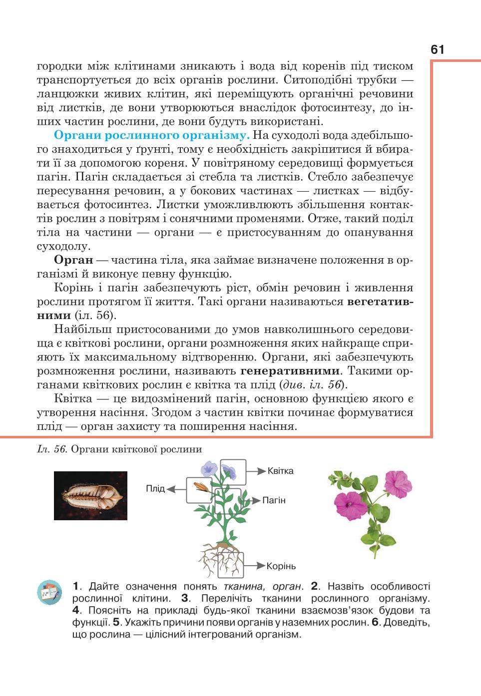 Мініатюра 61