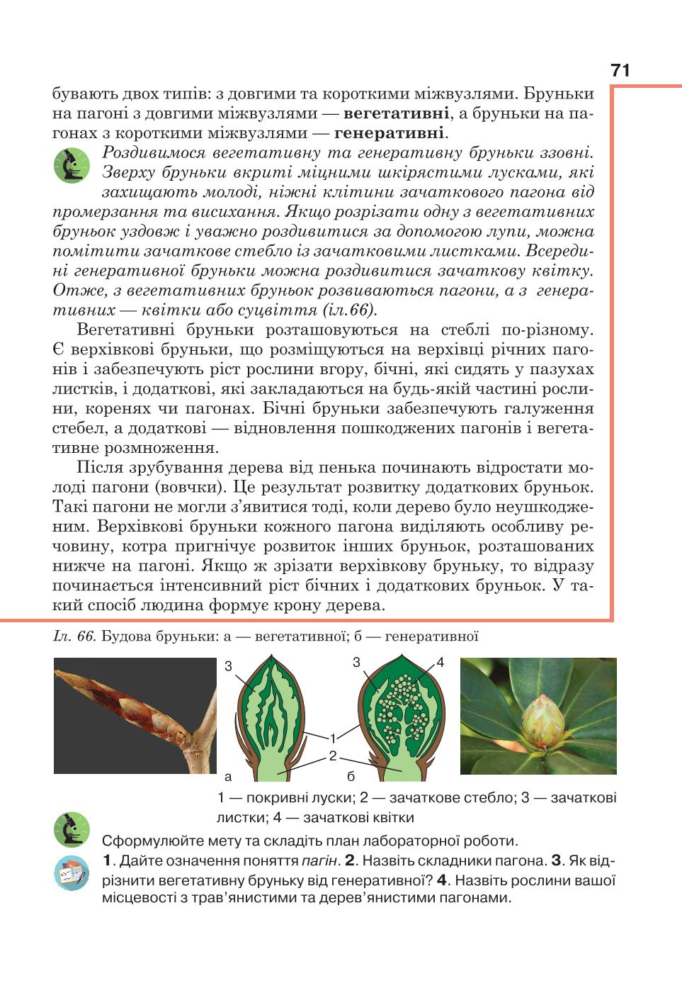 Мініатюра 71