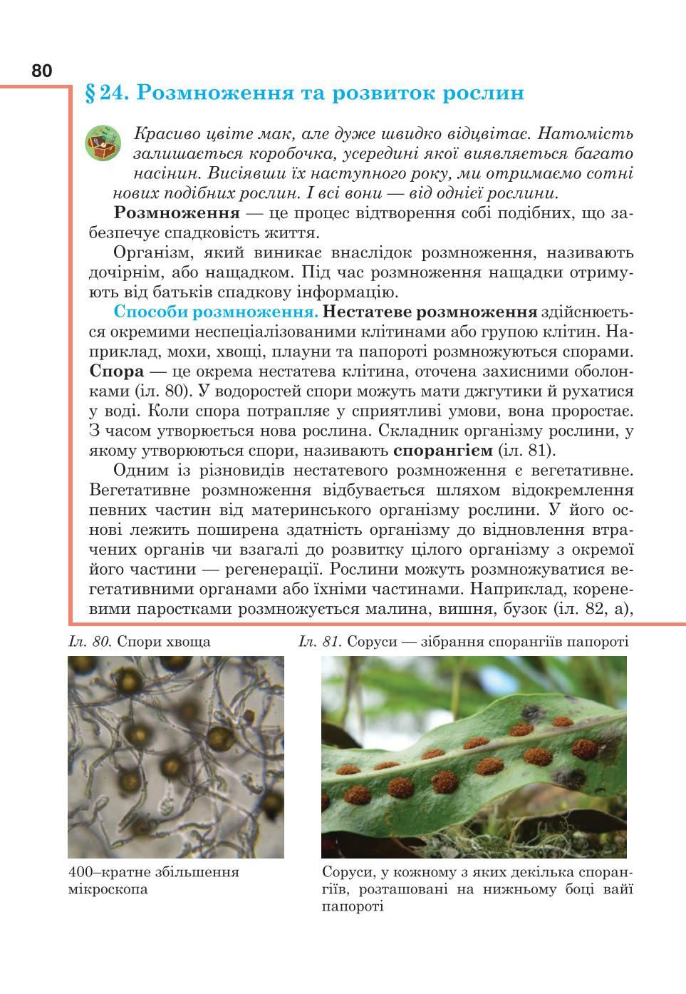 Мініатюра 80