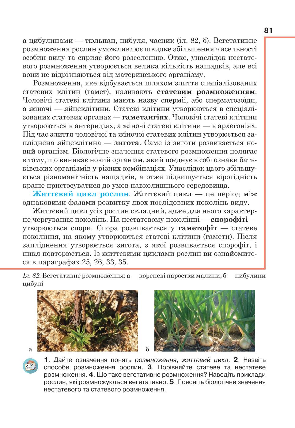Мініатюра 81