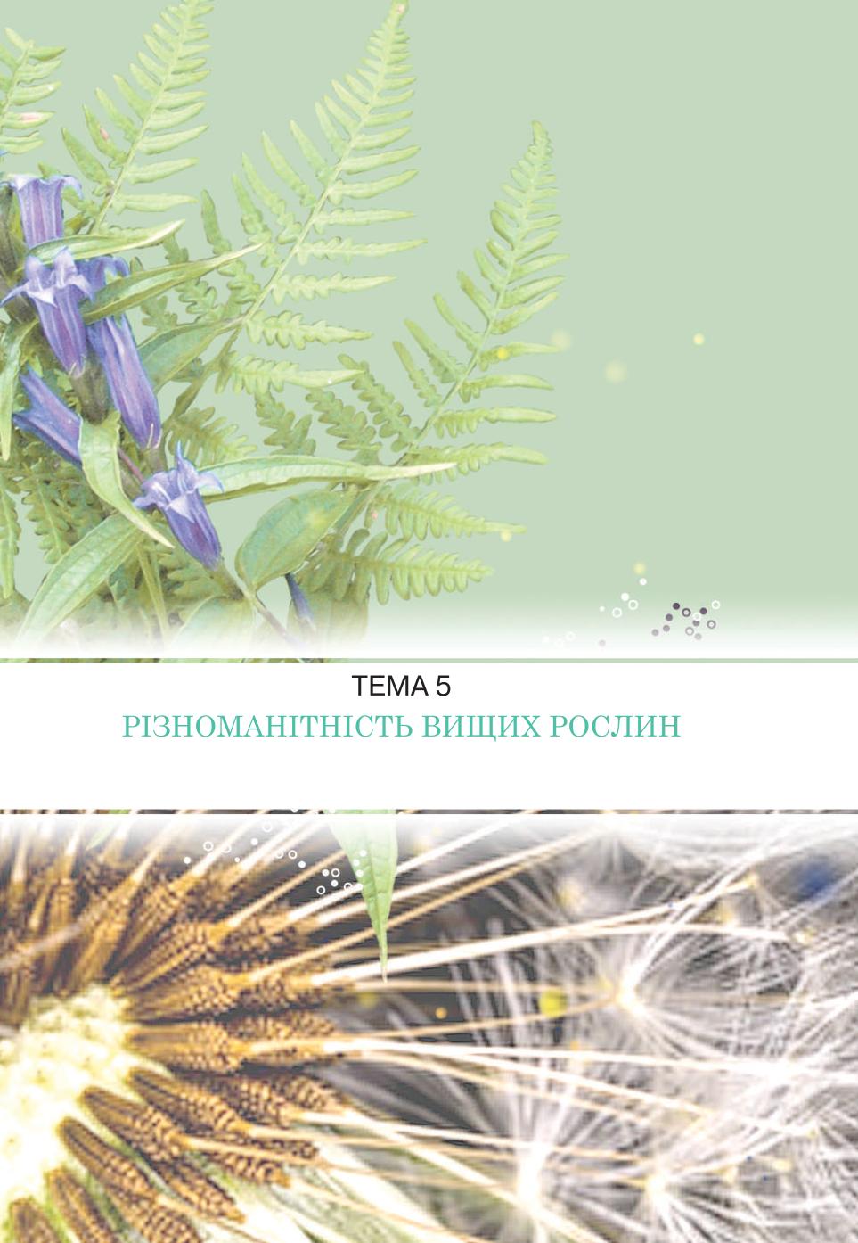 Мініатюра 85