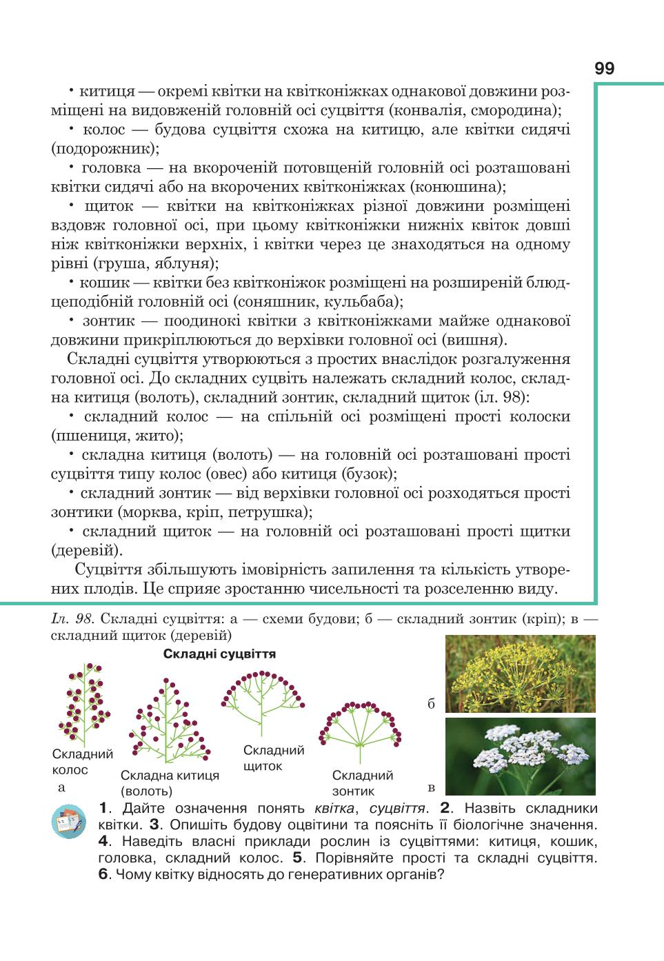 Мініатюра 99