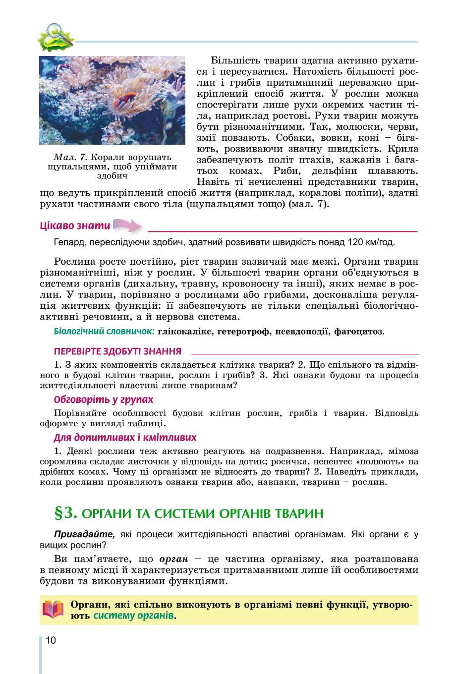 Мініатюра 10