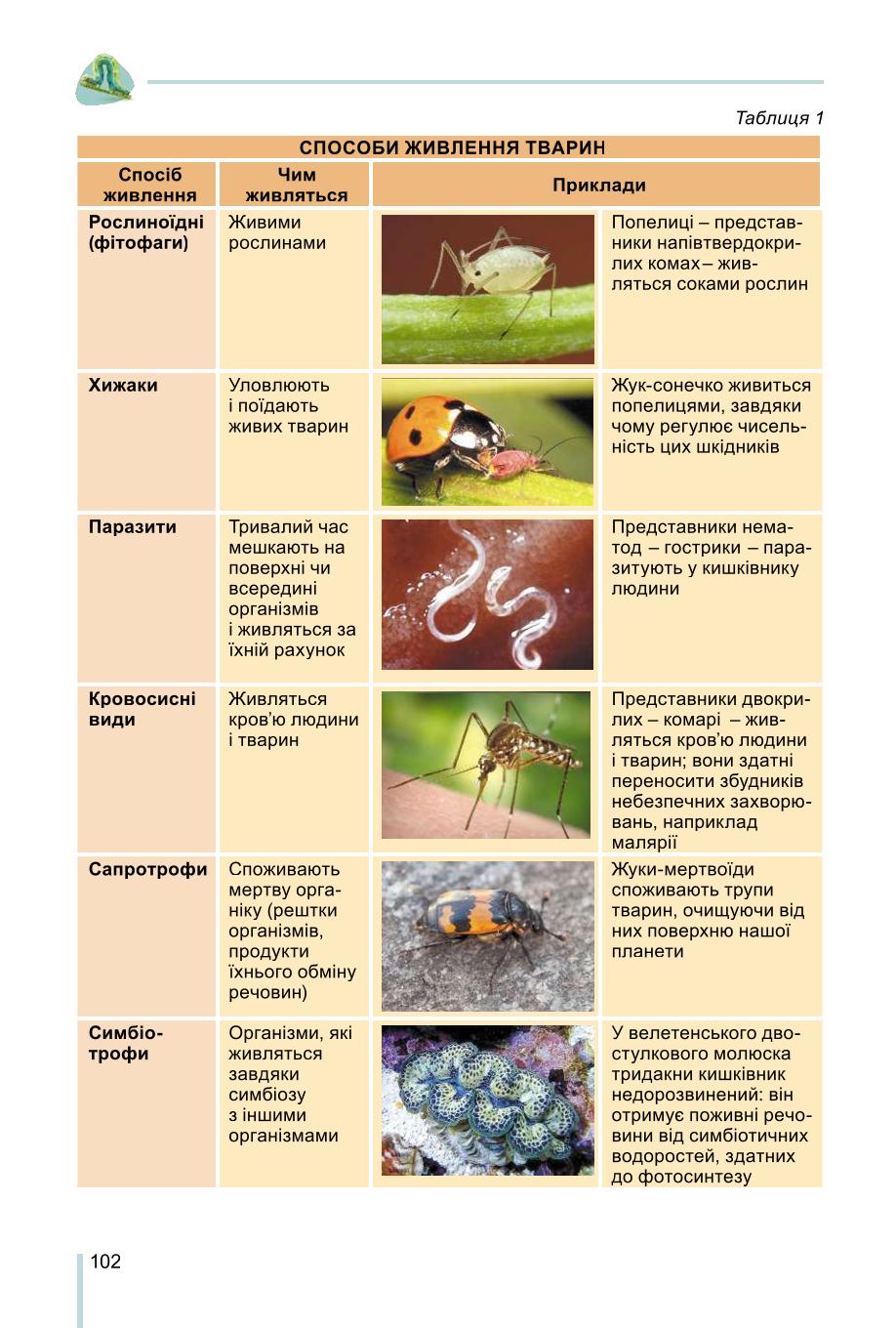 Мініатюра 102