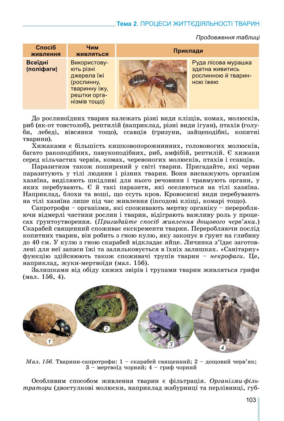 Мініатюра 103