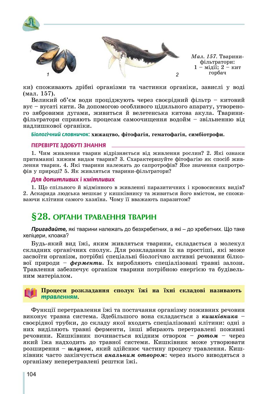 Мініатюра 104