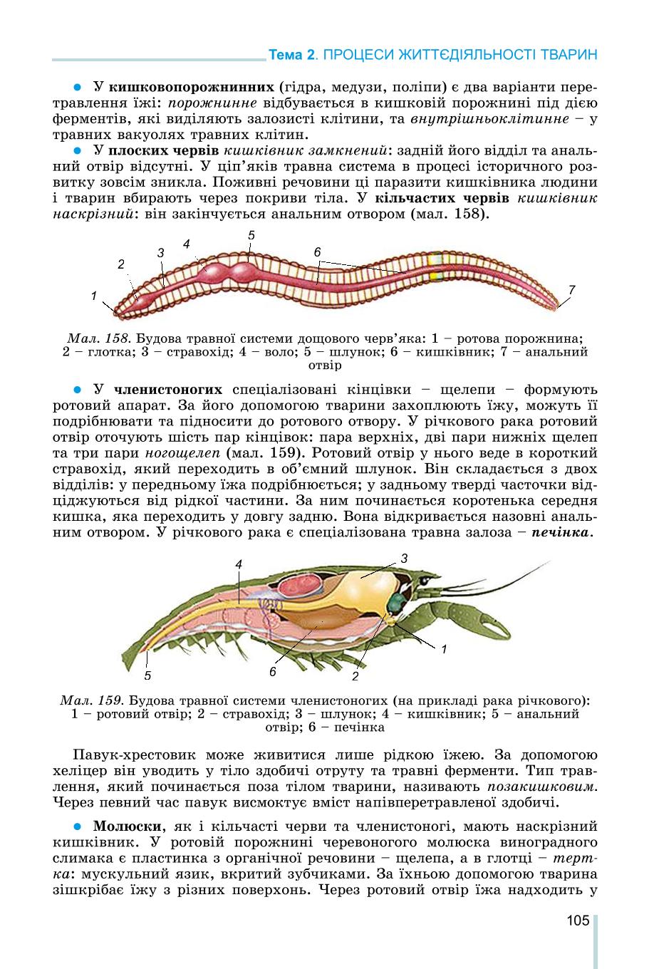Мініатюра 105