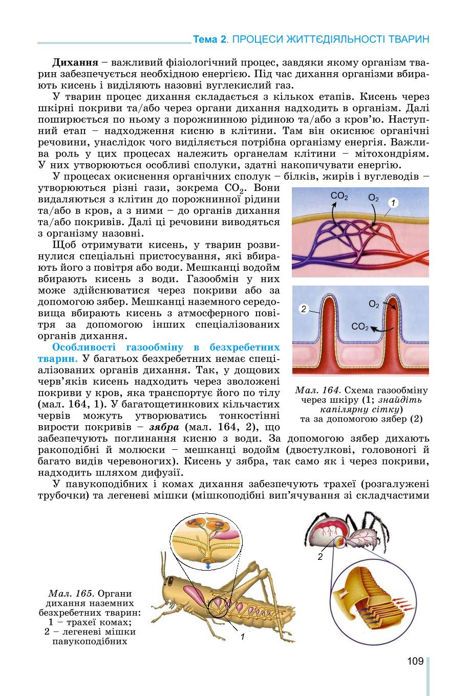 Мініатюра 109