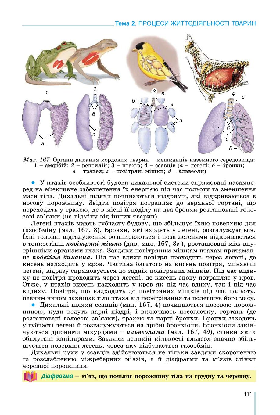 Мініатюра 111