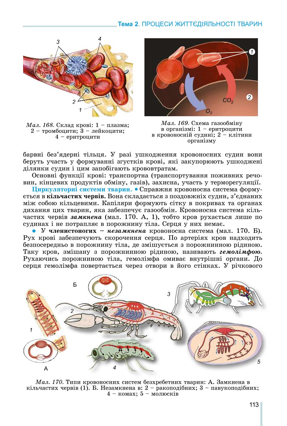 Мініатюра 113