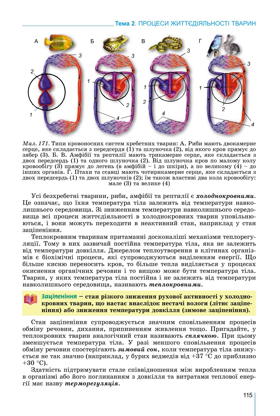 Мініатюра 115