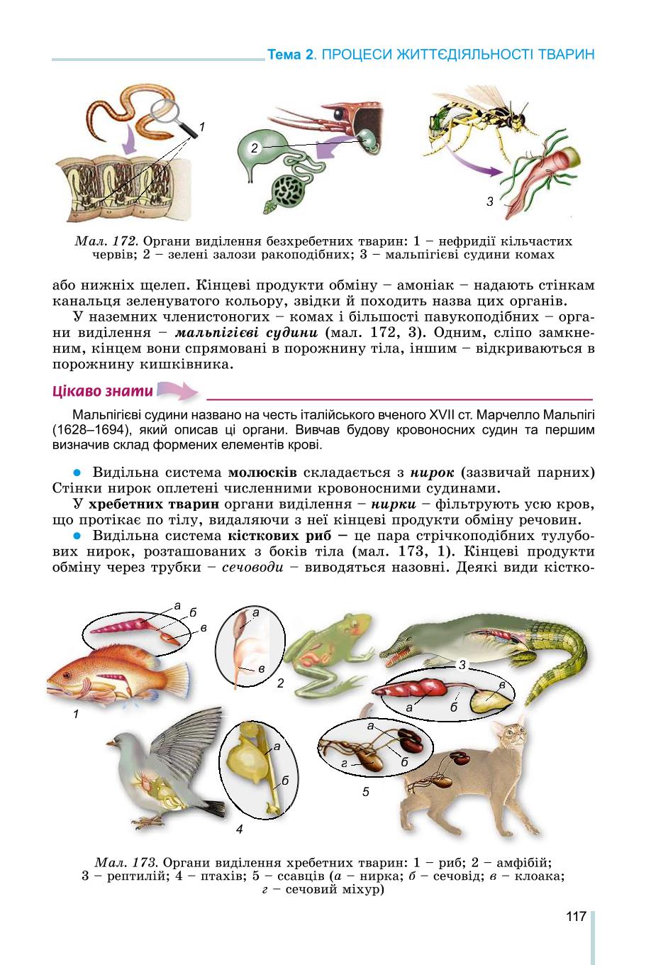 Мініатюра 117