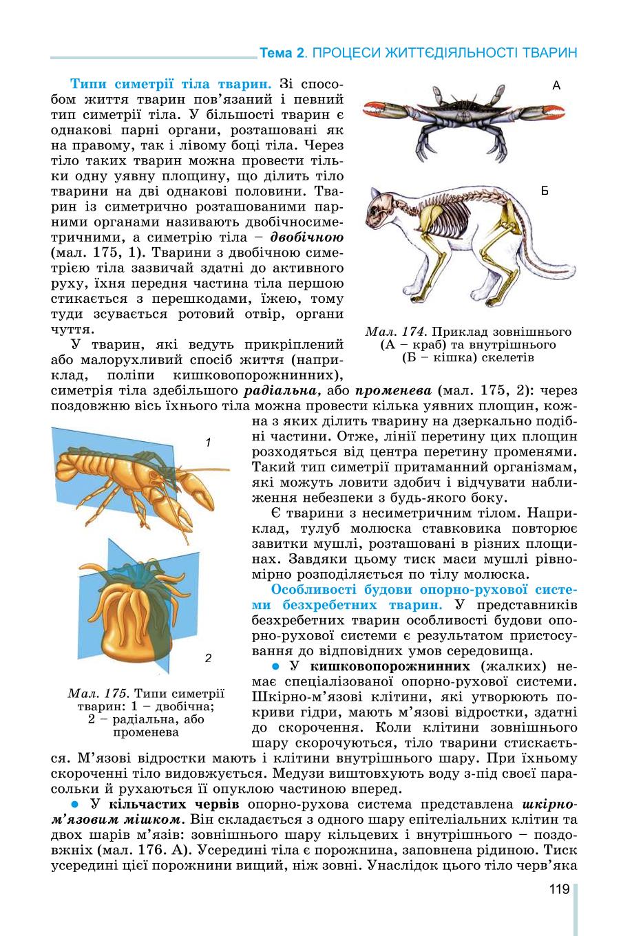 Мініатюра 119