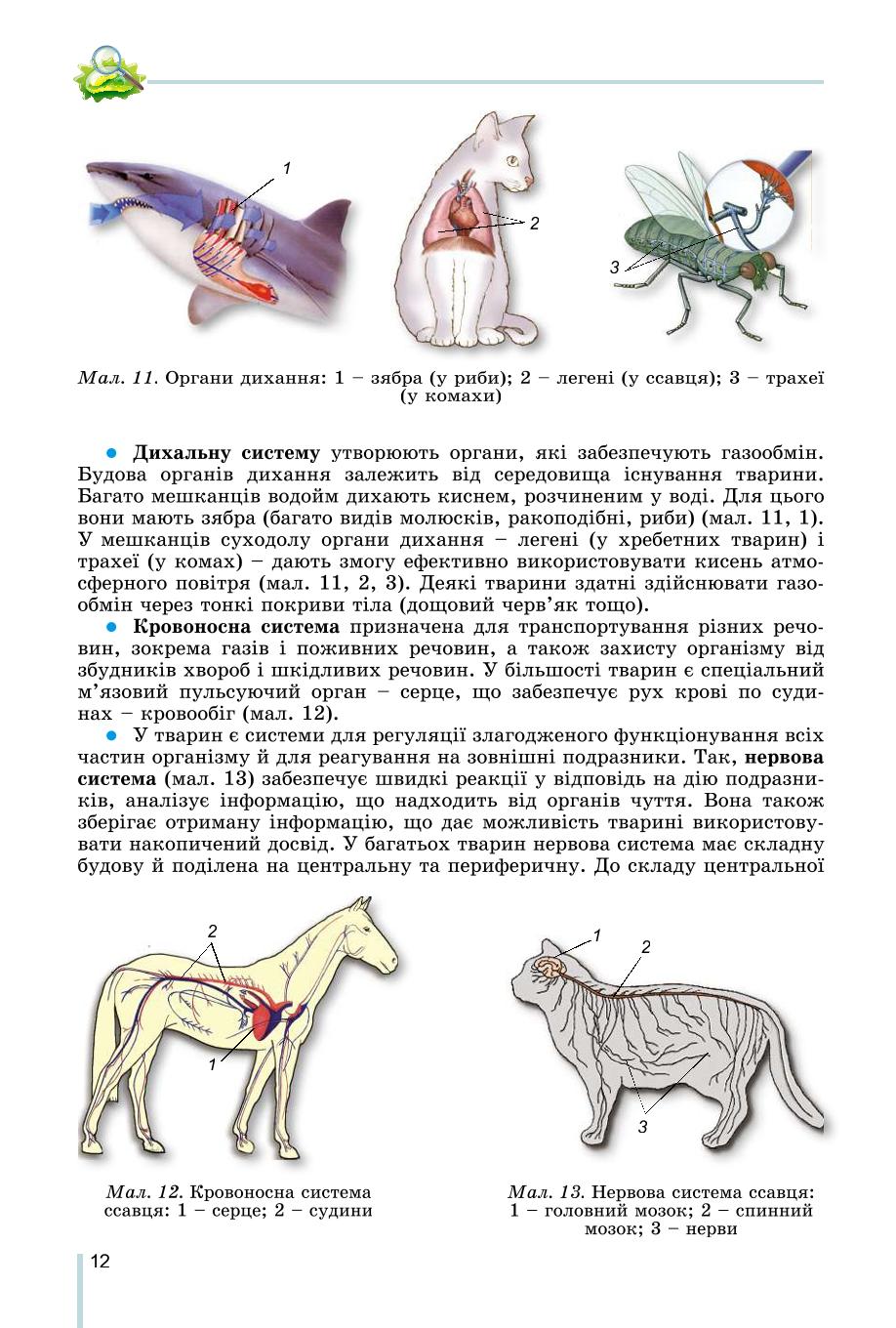 Мініатюра 12