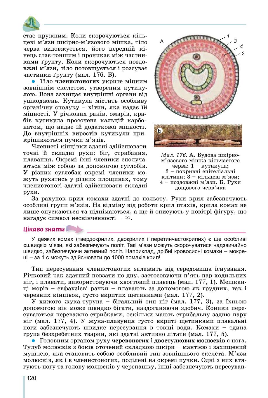 Мініатюра 120