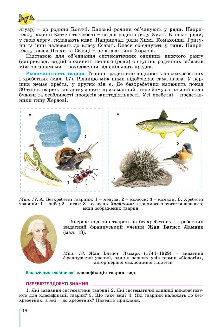 Мініатюра 16