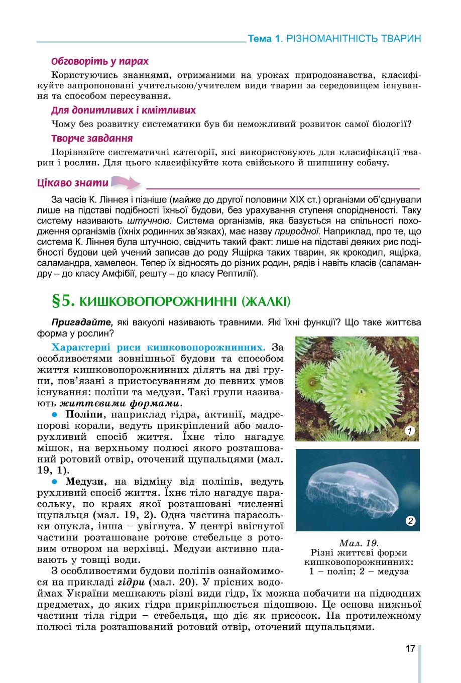 Мініатюра 17