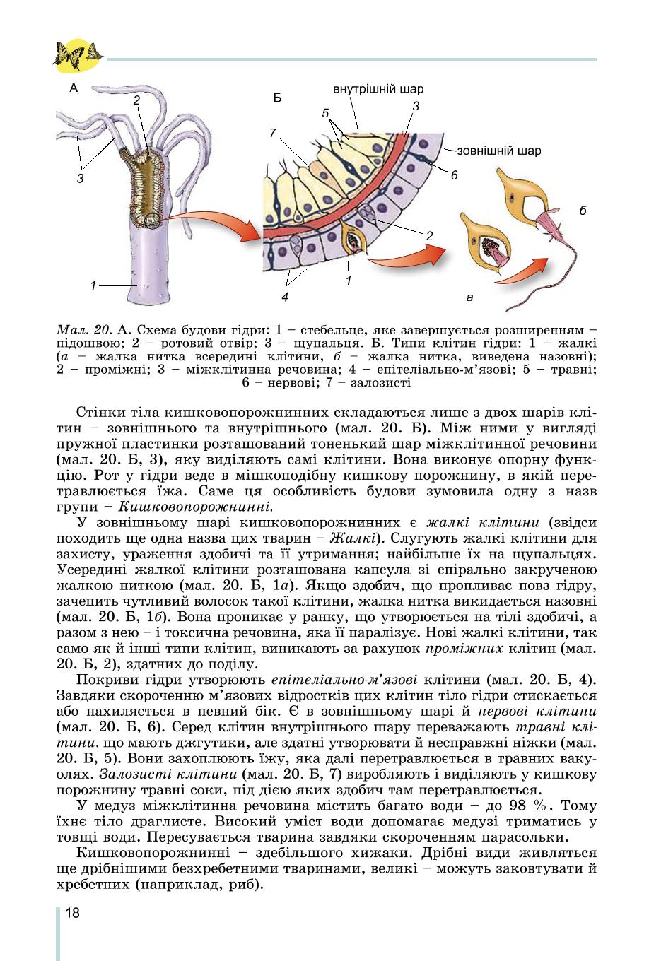 Мініатюра 18