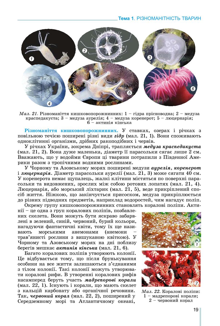 Мініатюра 19