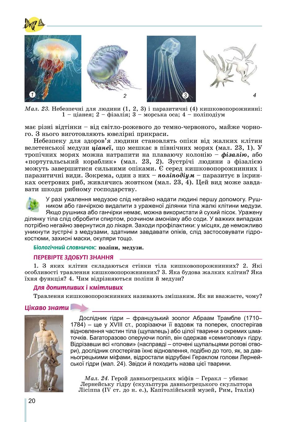 Мініатюра 20