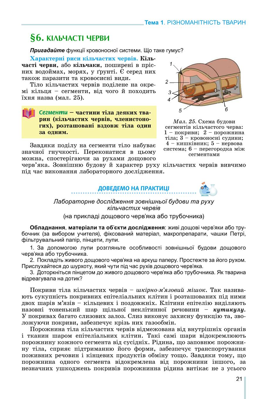 Мініатюра 21