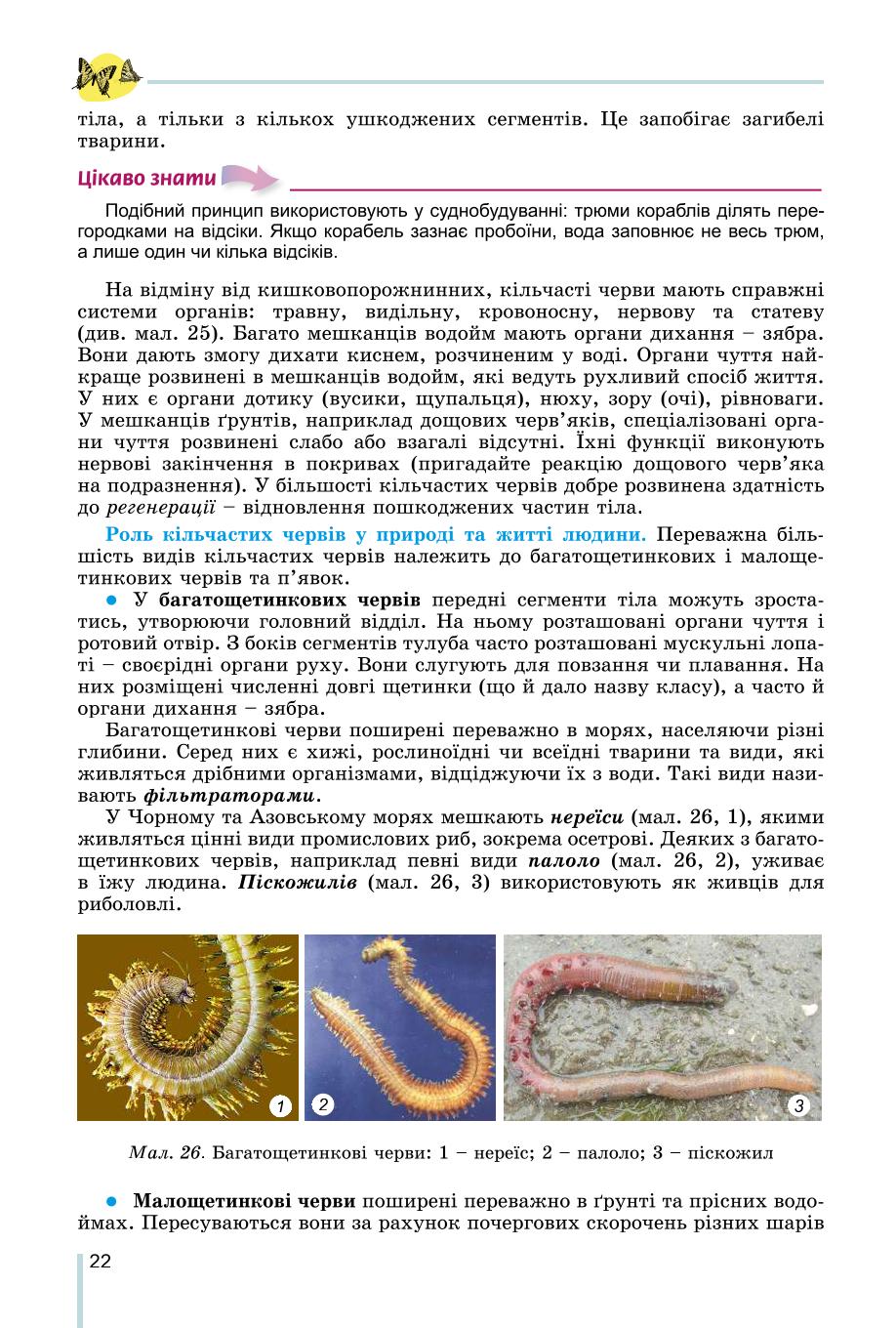 Мініатюра 22