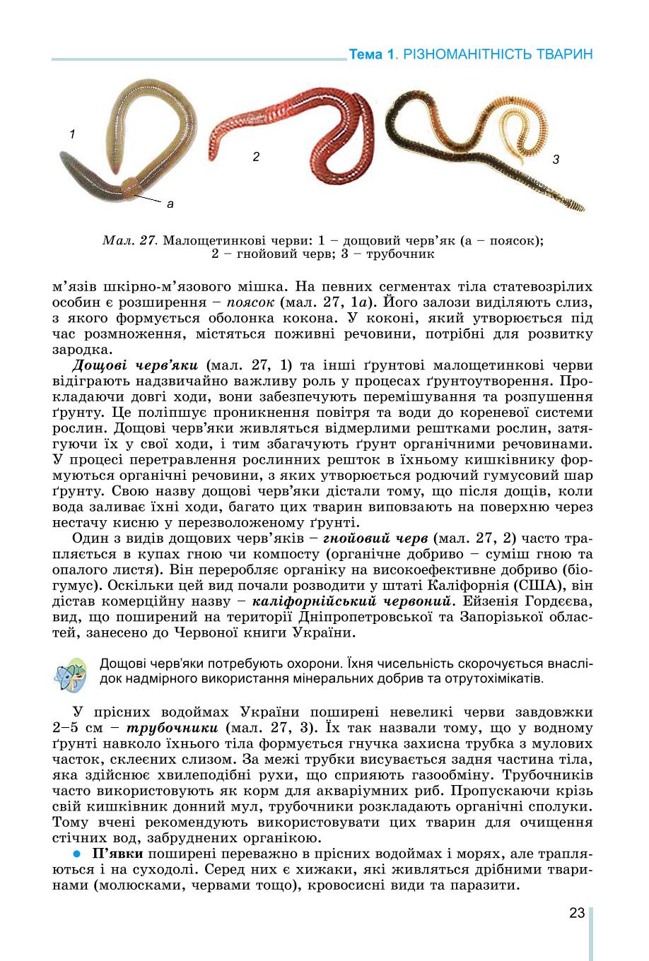 Мініатюра 23