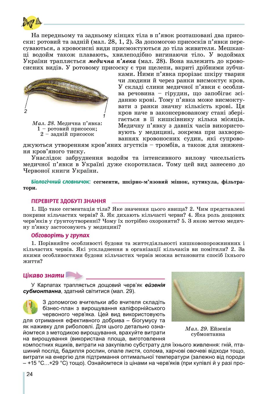 Мініатюра 24