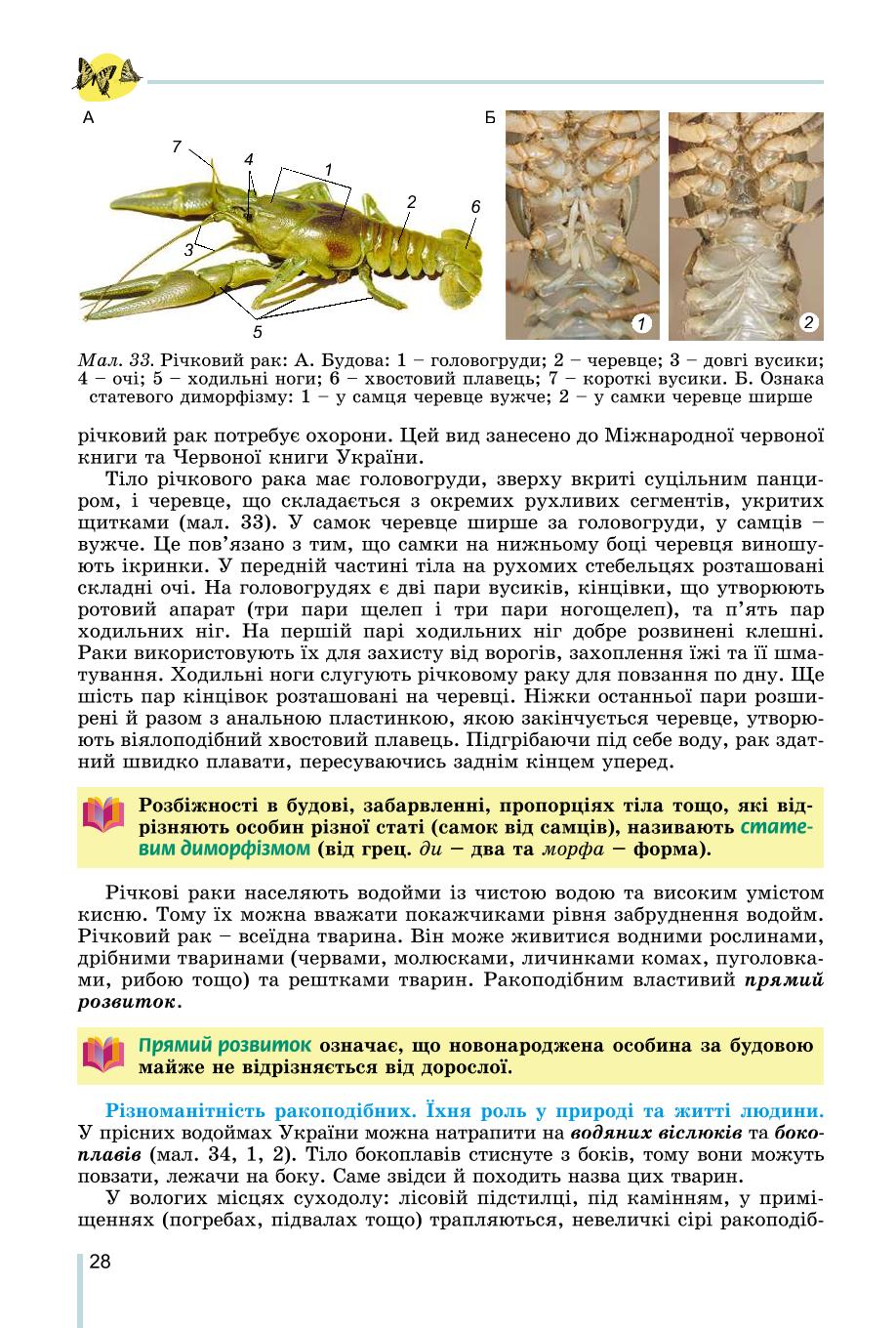 Мініатюра 28