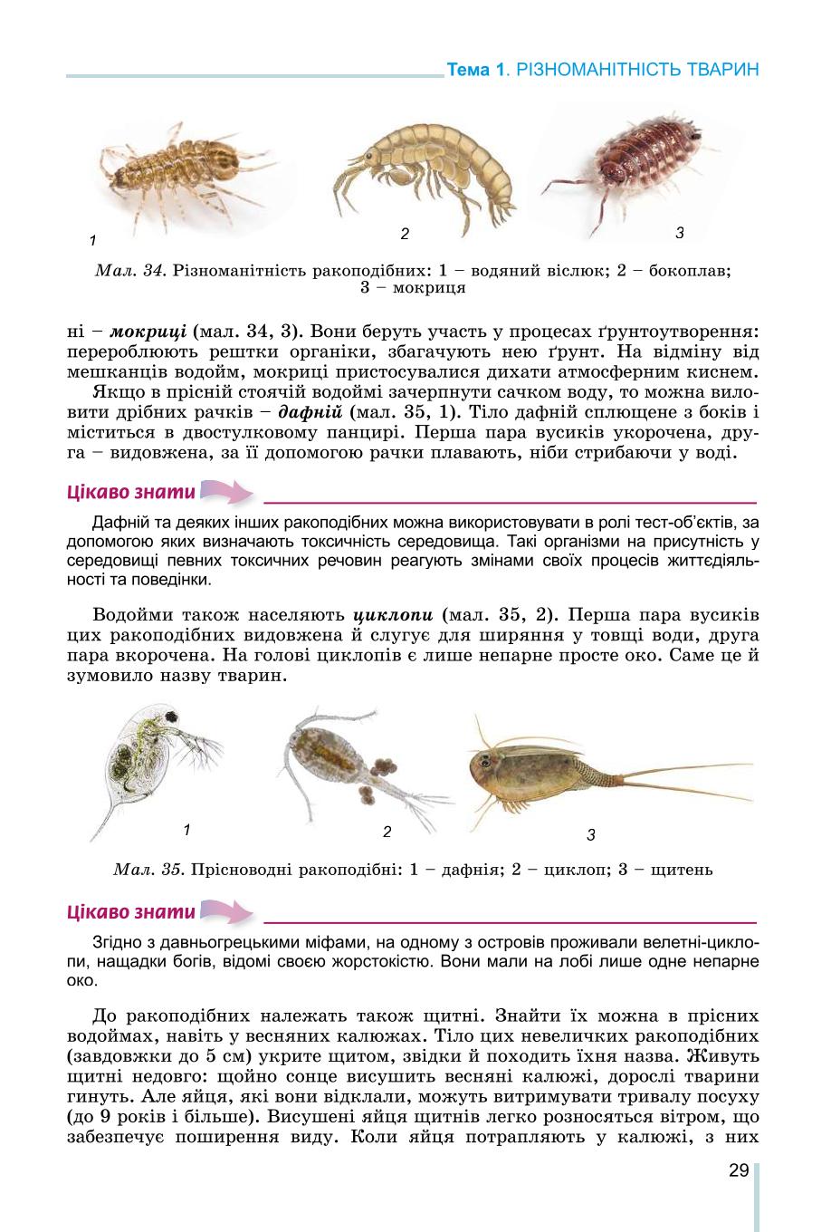 Мініатюра 29