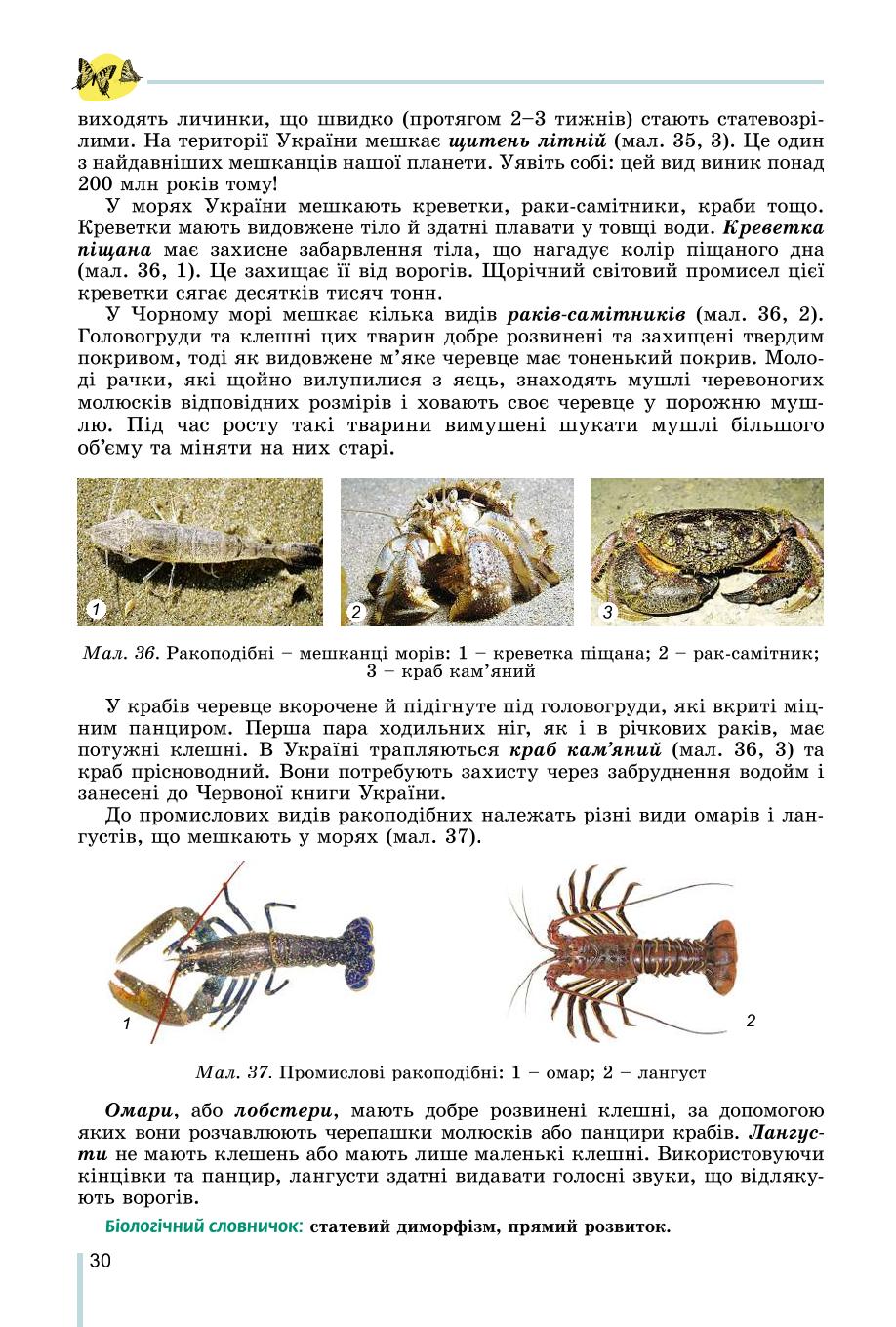 Мініатюра 30