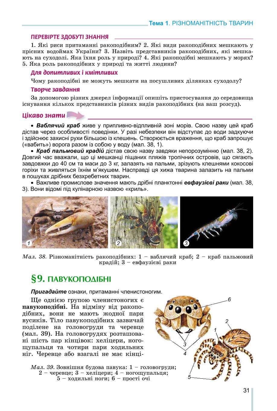 Мініатюра 31