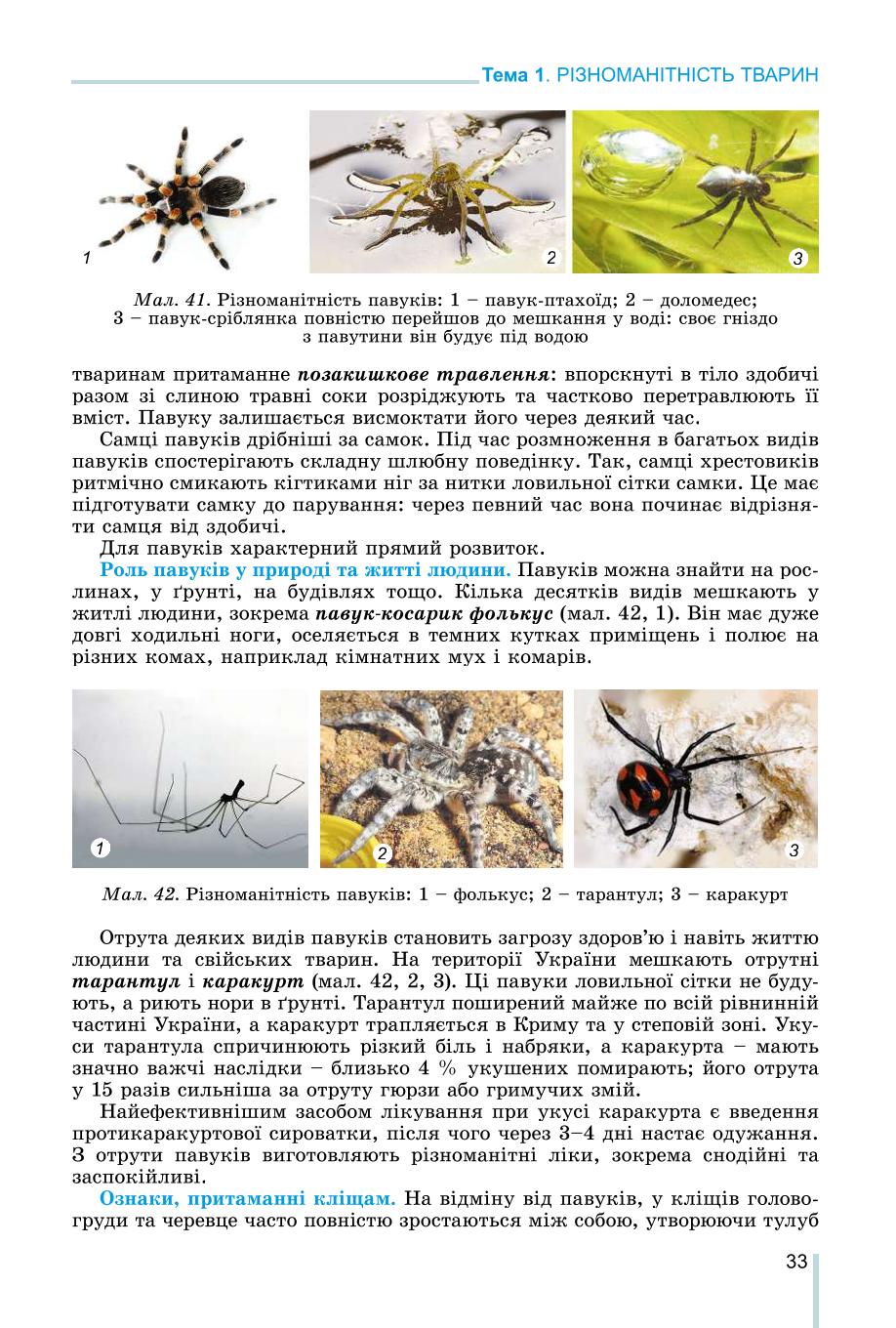 Мініатюра 33