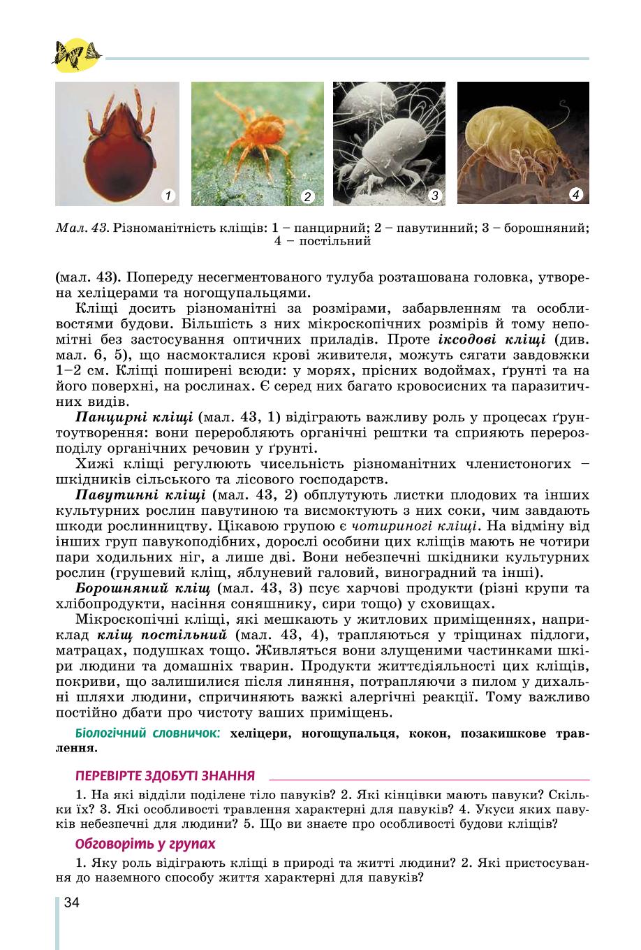 Мініатюра 34
