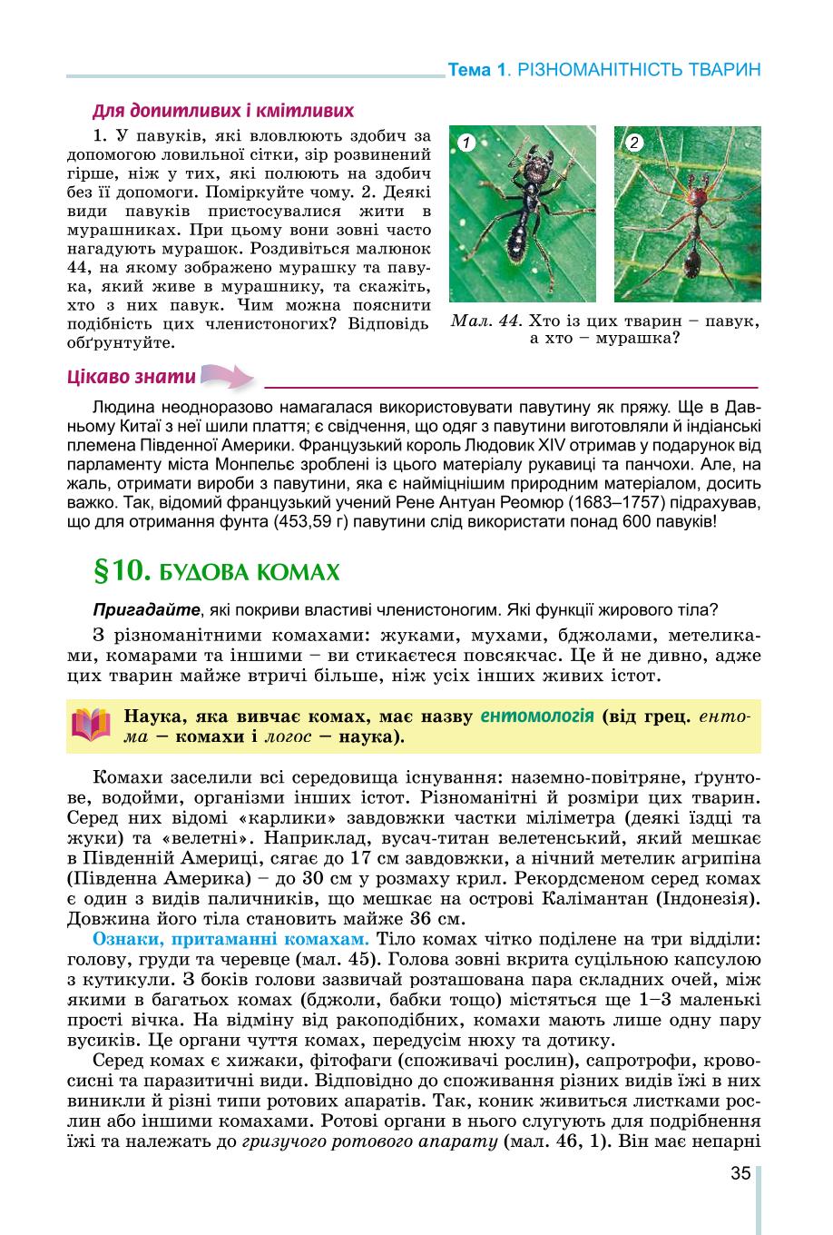 Мініатюра 35