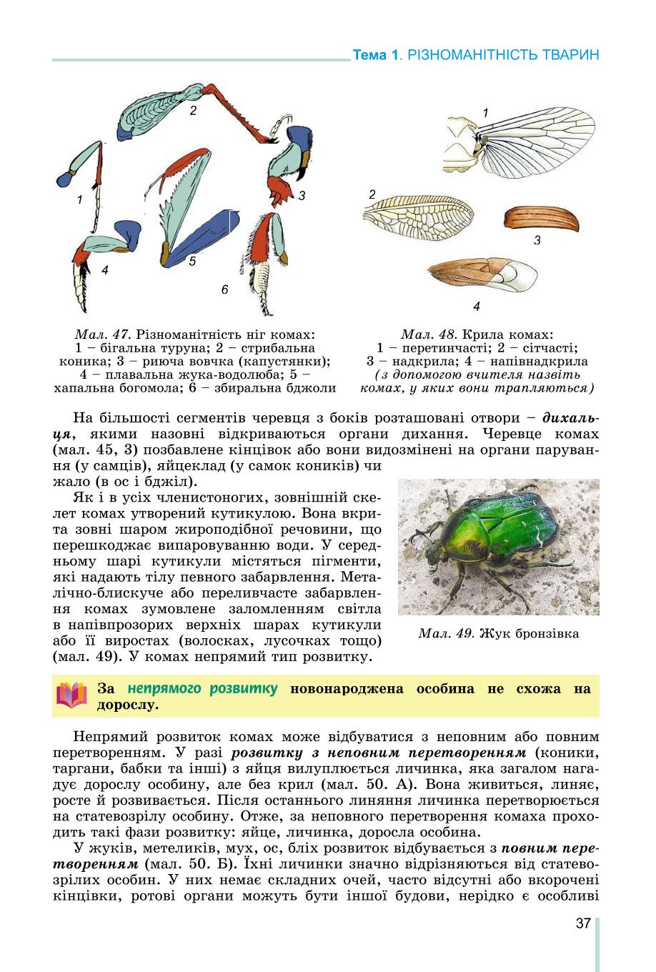 Мініатюра 37