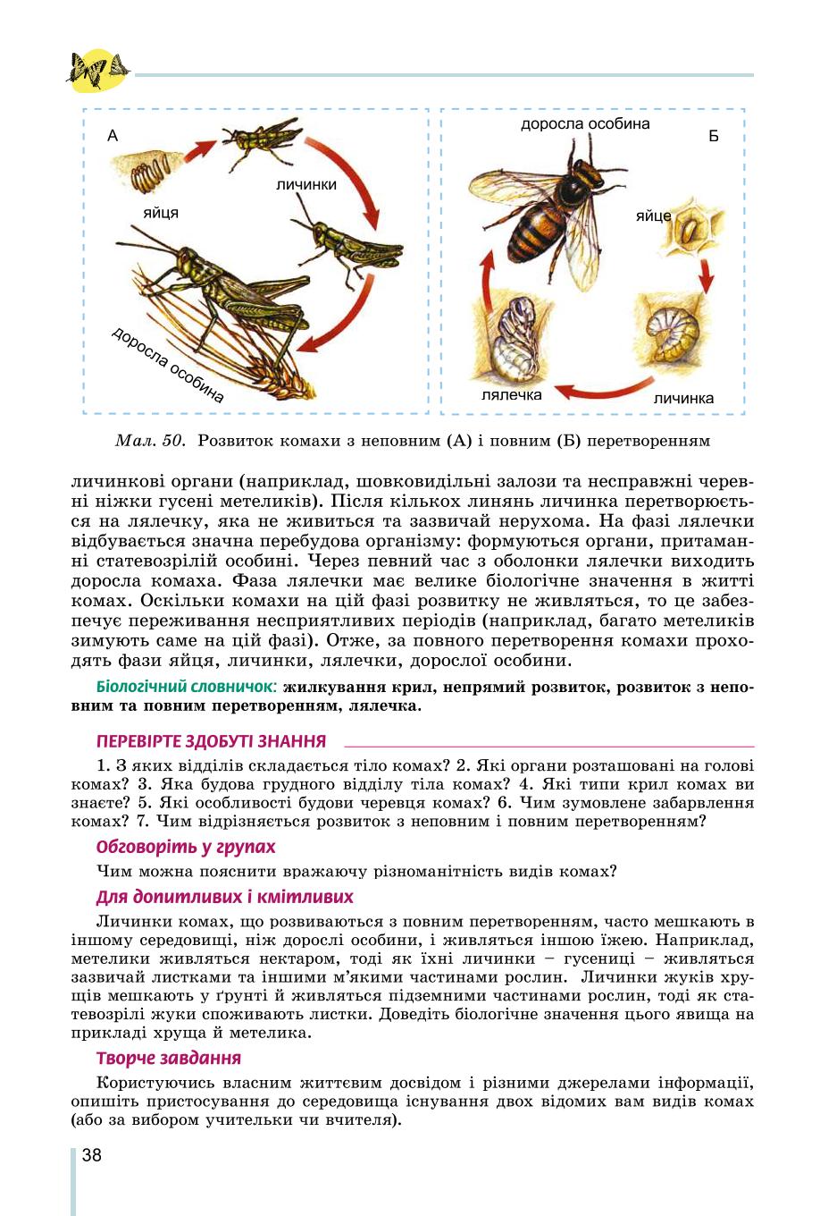 Мініатюра 38