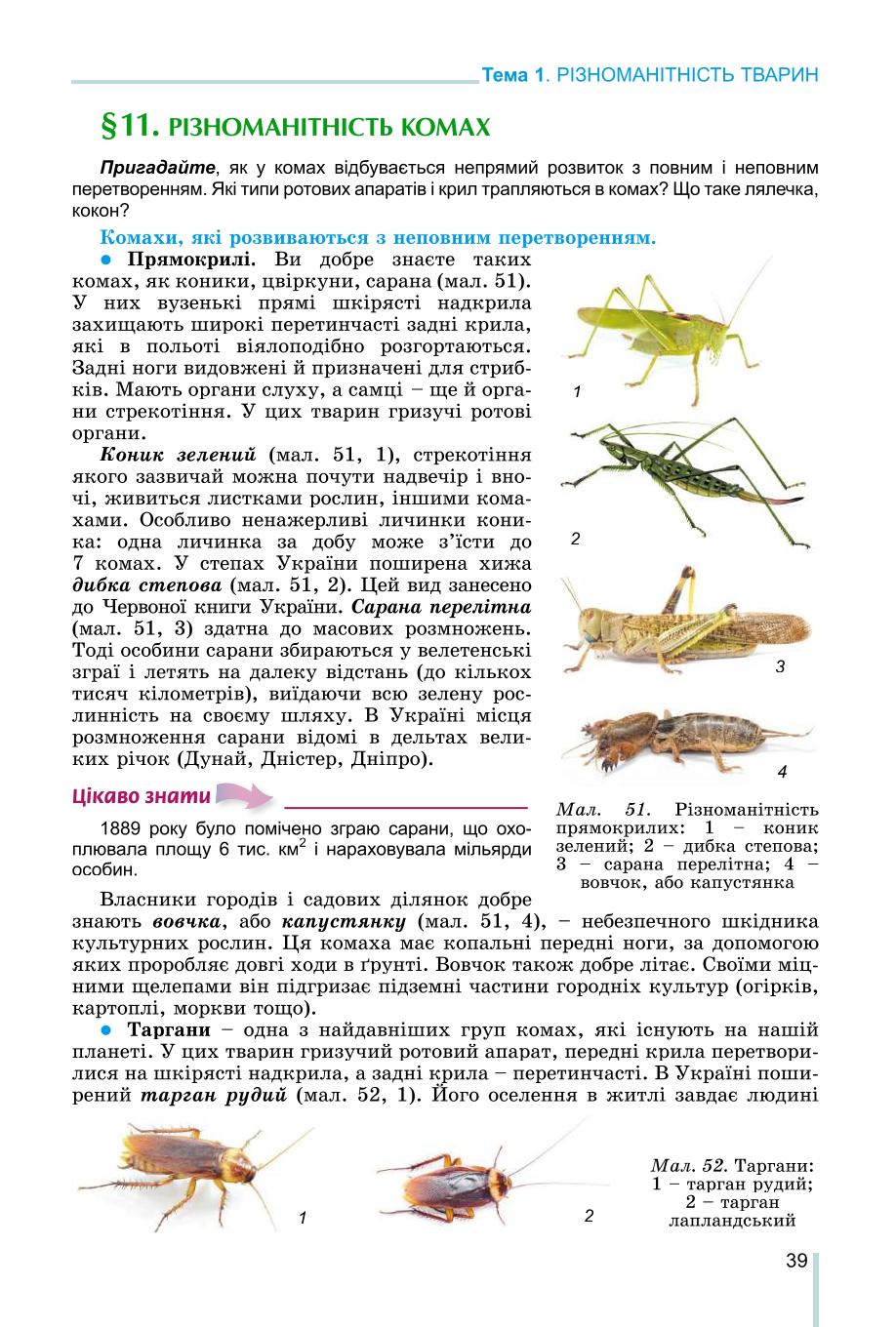 Мініатюра 39