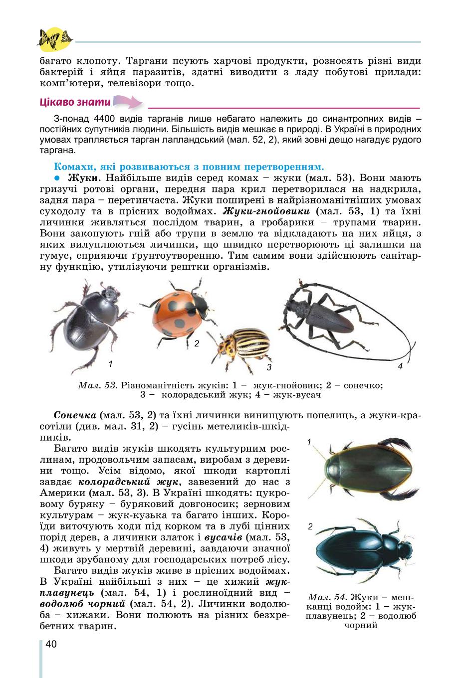 Мініатюра 40